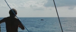 2014-09-08 9h18 2 baleines entre Ibiza et Majorque Espagne
