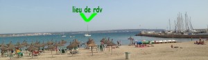 2014-09-09 17h46 Ericante devant la plage de Can Pastilla et son port baie de Palma Majorque Baléares