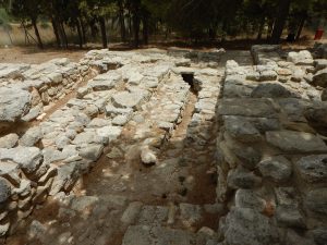 2016-05-21 13h18 oiseau huppé site Cnossos Crète